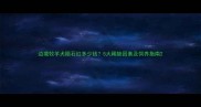 边境牧羊犬陨石红多少钱5大稀缺因素及饲养指南