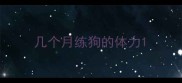 几个月练狗的体力