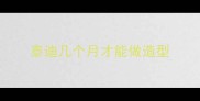泰迪几个月才能做造型