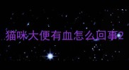 猫咪大便有血怎么回事