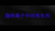 猫咪鼻子中间有东西