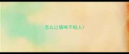 怎么让猫咪不粘人