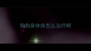 狗狗身体痒怎么治疗啊