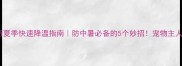 哈士奇夏季快速降温指南防中暑必备的5个妙招宠物主人必看