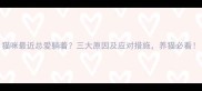 猫咪最近总爱躺着三大原因及应对措施养猫必看