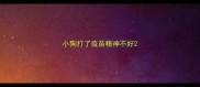 小狗打了疫苗精神不好