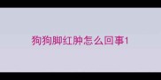 狗狗脚红肿怎么回事