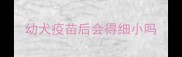 幼犬疫苗后会得细小吗