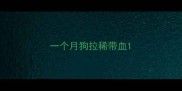 一个月狗拉稀带血