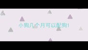 小狗几个月可以配狗