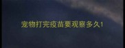 宠物打完疫苗要观察多久