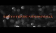 边境牧羊犬不爱洗澡的7大原因及科学应对方案