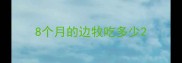 8个月的边牧吃多少