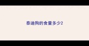 泰迪狗的食量多少