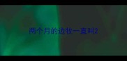 两个月的边牧一直叫