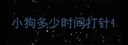 小狗多少时间打针