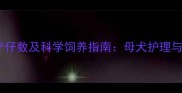 金毛犬第一胎产仔数及科学饲养指南母犬护理与幼犬存活率全