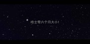 哈士奇六个月大小