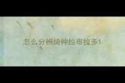 怎么分辨纯种拉布拉多
