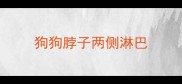 狗狗脖子两侧淋巴