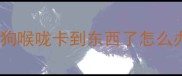 小狗喉咙卡到东西了怎么办