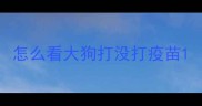 怎么看大狗打没打疫苗