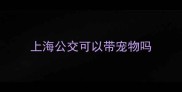上海公交可以带宠物吗