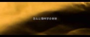 怎么让猫咪学会谢谢