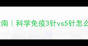 成猫疫苗全流程指南科学免疫3针vs5针怎么选附避坑攻略