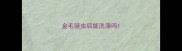 金毛驱虫后能洗澡吗
