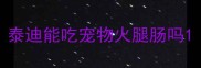 泰迪能吃宠物火腿肠吗