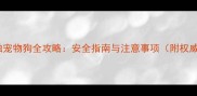 孕期接触宠物狗全攻略安全指南与注意事项附权威解答