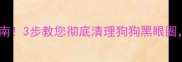 泪痕终结指南3步教您彻底清理狗狗黑眼圈养宠必看