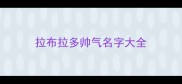 拉布拉多帅气名字大全