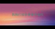 狗狗打疫苗要量体温吗