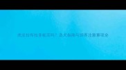 虎皮拉布拉多能买吗选犬指南与饲养注意事项全
