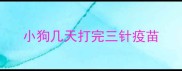 小狗几天打完三针疫苗