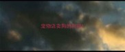 宠物店卖狗的利润