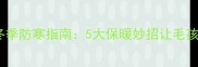 成都金毛犬冬季防寒指南5大保暖妙招让毛孩子温暖过冬