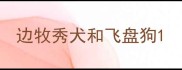 边牧秀犬和飞盘狗