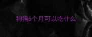 狗狗5个月可以吃什么