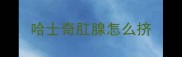 哈士奇肛腺怎么挤