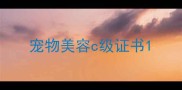 宠物美容c级证书