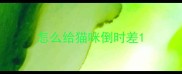 怎么给猫咪倒时差