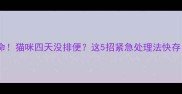 救命猫咪四天没排便这5招紧急处理法快存