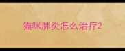 猫咪肺炎怎么治疗