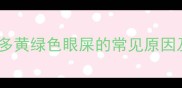 拉布拉多黄绿色眼屎的常见原因及症状