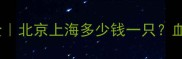 最新拉布拉多纯种价格全北京上海多少钱一只血统证书vs宠物店怎么选