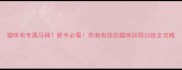 猫咪有专属马桶新手必看亲测有效的猫咪如厕训练全攻略
