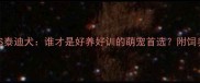 茶杯犬VS泰迪犬谁才是好养好训的萌宠首选附饲养全攻略